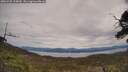 ./images/calvert/fitz-hugh-hecate/20250505/fitz-hugh-hecate20250505_134010M.jpg