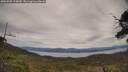./images/calvert/fitz-hugh-hecate/20250505/fitz-hugh-hecate20250505_135010M.jpg