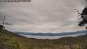 ./images/calvert/fitz-hugh-hecate/20250505/fitz-hugh-hecate20250505_135510M.jpg