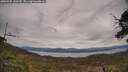 ./images/calvert/fitz-hugh-hecate/20250505/fitz-hugh-hecate20250505_140509M.jpg