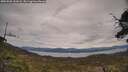 ./images/calvert/fitz-hugh-hecate/20250505/fitz-hugh-hecate20250505_141008M.jpg