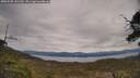 ./images/calvert/fitz-hugh-hecate/20250505/fitz-hugh-hecate20250505_141510M.jpg