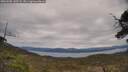 ./images/calvert/fitz-hugh-hecate/20250505/fitz-hugh-hecate20250505_142508M.jpg