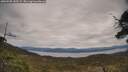 ./images/calvert/fitz-hugh-hecate/20250505/fitz-hugh-hecate20250505_143509M.jpg