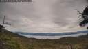 ./images/calvert/fitz-hugh-hecate/20250505/fitz-hugh-hecate20250505_144009M.jpg