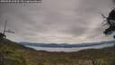 ./images/calvert/fitz-hugh-hecate/20250505/fitz-hugh-hecate20250505_144510M.jpg