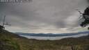 ./images/calvert/fitz-hugh-hecate/20250505/fitz-hugh-hecate20250505_145509M.jpg