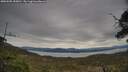 ./images/calvert/fitz-hugh-hecate/20250505/fitz-hugh-hecate20250505_150010M.jpg