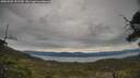 ./images/calvert/fitz-hugh-hecate/20250505/fitz-hugh-hecate20250505_151510M.jpg