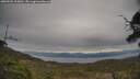 ./images/calvert/fitz-hugh-hecate/20250505/fitz-hugh-hecate20250505_153010M.jpg