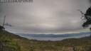 ./images/calvert/fitz-hugh-hecate/20250505/fitz-hugh-hecate20250505_153508M.jpg