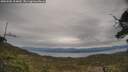 ./images/calvert/fitz-hugh-hecate/20250505/fitz-hugh-hecate20250505_154010M.jpg