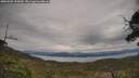 ./images/calvert/fitz-hugh-hecate/20250505/fitz-hugh-hecate20250505_155010M.jpg