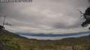 ./images/calvert/fitz-hugh-hecate/20250505/fitz-hugh-hecate20250505_155510M.jpg