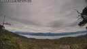 ./images/calvert/fitz-hugh-hecate/20250505/fitz-hugh-hecate20250505_160509M.jpg