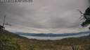 ./images/calvert/fitz-hugh-hecate/20250505/fitz-hugh-hecate20250505_161010M.jpg