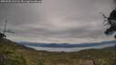 ./images/calvert/fitz-hugh-hecate/20250505/fitz-hugh-hecate20250505_161507M.jpg