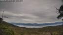 ./images/calvert/fitz-hugh-hecate/20250505/fitz-hugh-hecate20250505_162509M.jpg
