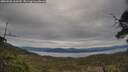 ./images/calvert/fitz-hugh-hecate/20250505/fitz-hugh-hecate20250505_163509M.jpg