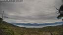 ./images/calvert/fitz-hugh-hecate/20250505/fitz-hugh-hecate20250505_164008M.jpg
