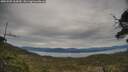 ./images/calvert/fitz-hugh-hecate/20250505/fitz-hugh-hecate20250505_164510M.jpg
