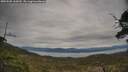 ./images/calvert/fitz-hugh-hecate/20250505/fitz-hugh-hecate20250505_165010M.jpg