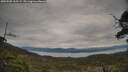 ./images/calvert/fitz-hugh-hecate/20250505/fitz-hugh-hecate20250505_165509M.jpg