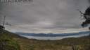 ./images/calvert/fitz-hugh-hecate/20250505/fitz-hugh-hecate20250505_170509M.jpg