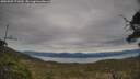 ./images/calvert/fitz-hugh-hecate/20250505/fitz-hugh-hecate20250505_171010M.jpg