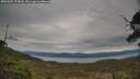 ./images/calvert/fitz-hugh-hecate/20250505/fitz-hugh-hecate20250505_172008M.jpg