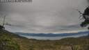 ./images/calvert/fitz-hugh-hecate/20250505/fitz-hugh-hecate20250505_172510M.jpg