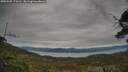 ./images/calvert/fitz-hugh-hecate/20250505/fitz-hugh-hecate20250505_174510M.jpg