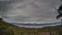 ./images/calvert/fitz-hugh-hecate/20250505/fitz-hugh-hecate20250505_180012M.jpg