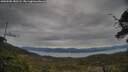./images/calvert/fitz-hugh-hecate/20250505/fitz-hugh-hecate20250505_180508M.jpg