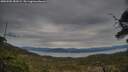 ./images/calvert/fitz-hugh-hecate/20250505/fitz-hugh-hecate20250505_181009M.jpg