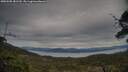 ./images/calvert/fitz-hugh-hecate/20250505/fitz-hugh-hecate20250505_181510M.jpg