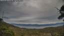 ./images/calvert/fitz-hugh-hecate/20250505/fitz-hugh-hecate20250505_184510M.jpg
