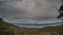 ./images/calvert/fitz-hugh-hecate/20250505/fitz-hugh-hecate20250505_185010M.jpg