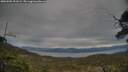 ./images/calvert/fitz-hugh-hecate/20250505/fitz-hugh-hecate20250505_191009M.jpg