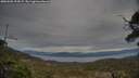 ./images/calvert/fitz-hugh-hecate/20250505/fitz-hugh-hecate20250505_192007M.jpg