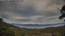 ./images/calvert/fitz-hugh-hecate/20250505/fitz-hugh-hecate20250505_194008M.jpg