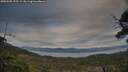 ./images/calvert/fitz-hugh-hecate/20250505/fitz-hugh-hecate20250505_195509M.jpg