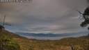 ./images/calvert/fitz-hugh-hecate/20250505/fitz-hugh-hecate20250505_202508M.jpg
