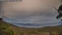 ./images/calvert/fitz-hugh-hecate/20250505/fitz-hugh-hecate20250505_203007M.jpg