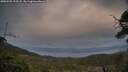 ./images/calvert/fitz-hugh-hecate/20250505/fitz-hugh-hecate20250505_203508M.jpg