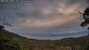 ./images/calvert/fitz-hugh-hecate/20250505/fitz-hugh-hecate20250505_204009M.jpg