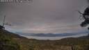 ./images/calvert/fitz-hugh-hecate/20250505/fitz-hugh-hecate20250505_205506M.jpg