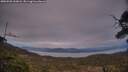 ./images/calvert/fitz-hugh-hecate/20250505/fitz-hugh-hecate20250505_210008M.jpg