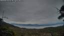./images/calvert/fitz-hugh-hecate/20250505/fitz-hugh-hecate20250505_211508M.jpg