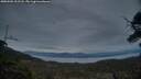 ./images/calvert/fitz-hugh-hecate/20250505/fitz-hugh-hecate20250505_212508M.jpg